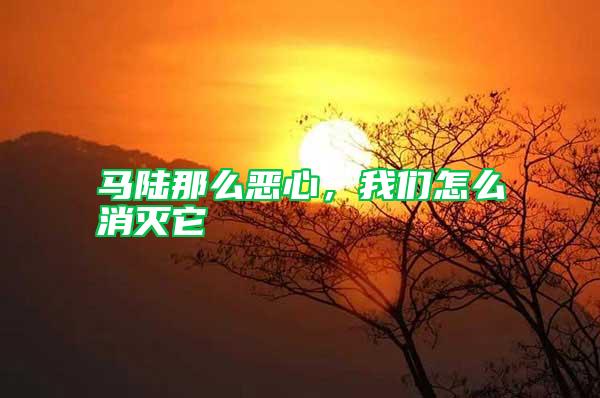 馬陸那么惡心，我們?cè)趺聪麥缢?/></p>
             <p style=