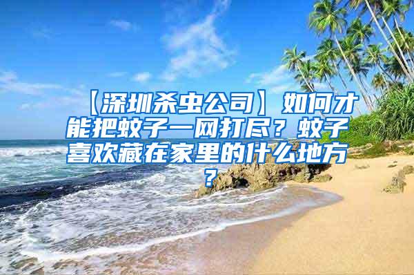 【深圳殺蟲公司】如何才能把蚊子一網(wǎng)打盡？蚊子喜歡藏在家里的什么地方？