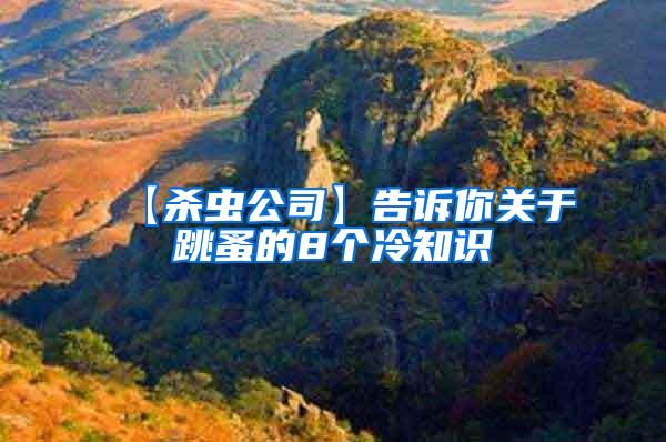 【殺蟲(chóng)公司】告訴你關(guān)于跳蚤的8個(gè)冷知識(shí)
