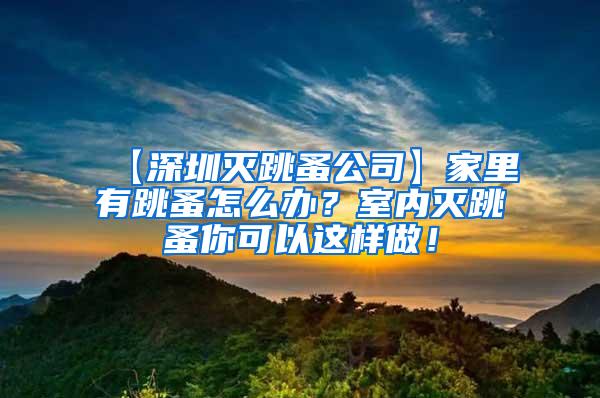 【深圳滅跳蚤公司】家里有跳蚤怎么辦？室內(nèi)滅跳蚤你可以這樣做！