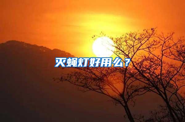 滅蠅燈好用么?