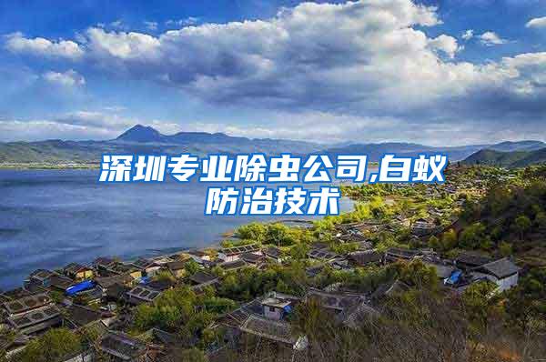 深圳專業(yè)除蟲公司,白蟻防治技術