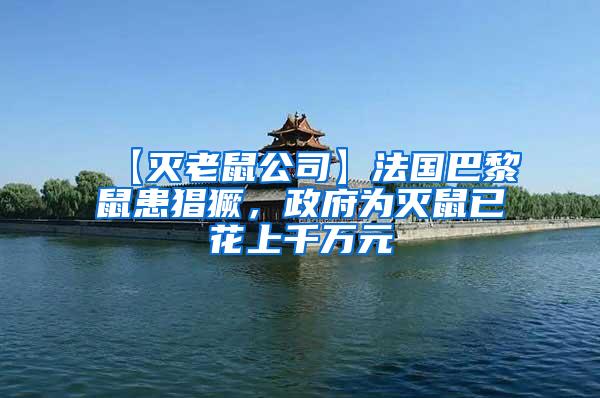 【滅老鼠公司】法國巴黎鼠患猖獗，政府為滅鼠已花上千萬元