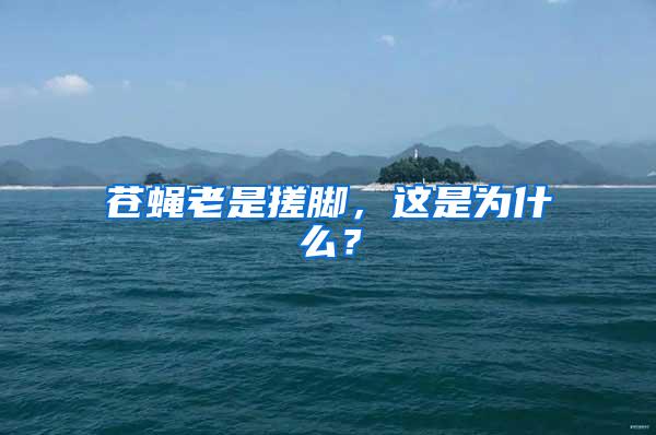 蒼蠅老是搓腳，這是為什么？