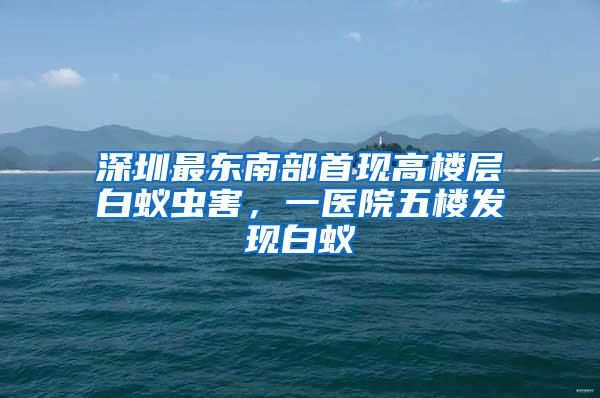 深圳最東南部首現(xiàn)高樓層白蟻蟲害,一醫(yī)院五樓發(fā)現(xiàn)白蟻