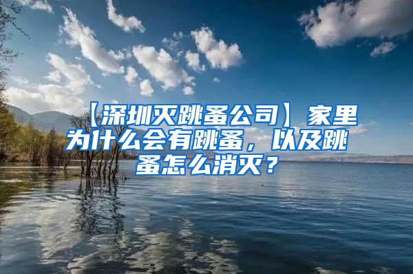 【深圳滅跳蚤公司】家里為什么會有跳蚤，以及跳蚤怎么消滅？