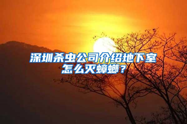深圳殺蟲公司介紹地下室怎么滅蟑螂？