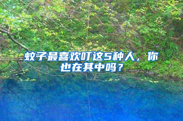 蚊子最喜歡叮這5種人，你也在其中嗎？