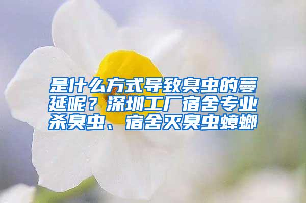 是什么方式導(dǎo)致臭蟲的蔓延呢？深圳工廠宿舍專業(yè)殺臭蟲、宿舍滅臭蟲蟑螂