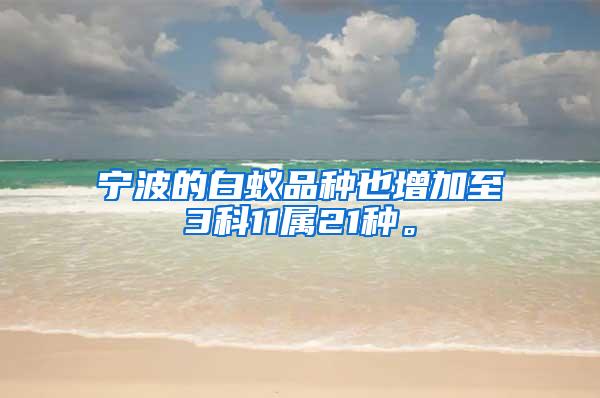 寧波的白蟻品種也增加至3科11屬21種。