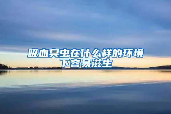 吸血臭蟲在什么樣的環(huán)境下容易滋生