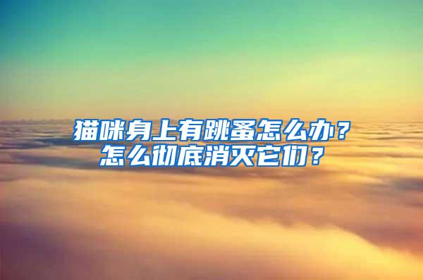 貓咪身上有跳蚤怎么辦？怎么徹底消滅它們？