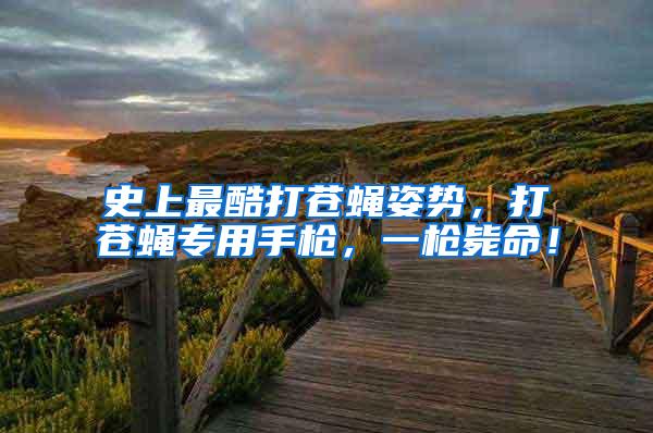 史上最酷打蒼蠅姿勢，打蒼蠅專用手槍，一槍斃命！