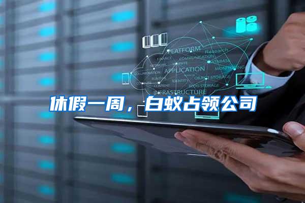 休假一周，白蟻占領公司