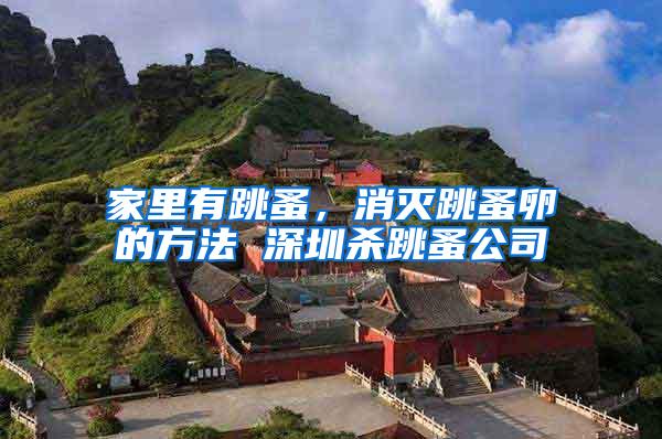 家里有跳蚤，消滅跳蚤卵的方法 深圳殺跳蚤公司