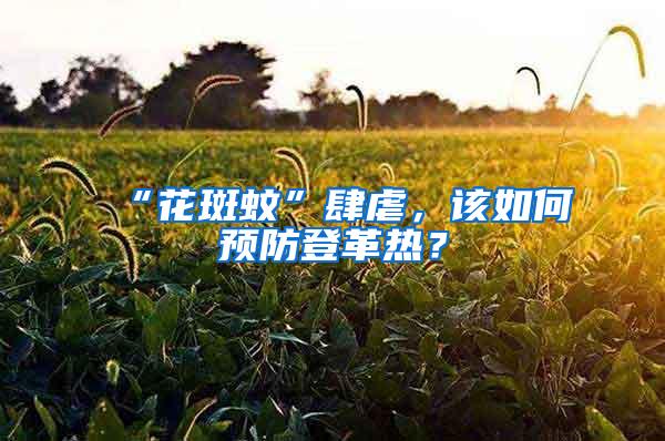 “花斑蚊”肆虐，該如何預(yù)防登革熱？