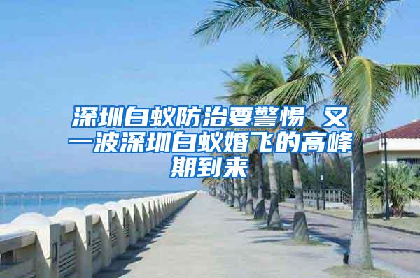 深圳白蟻防治要警惕 又一波深圳白蟻婚飛的高峰期到來(lái)
