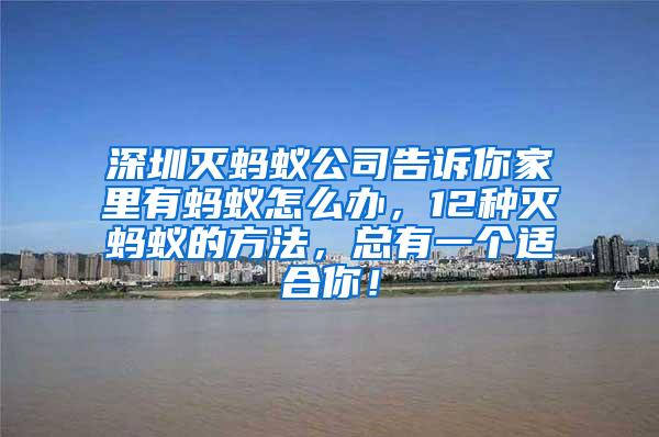 深圳滅螞蟻公司告訴你家里有螞蟻怎么辦，12種滅螞蟻的方法，總有一個適合你！