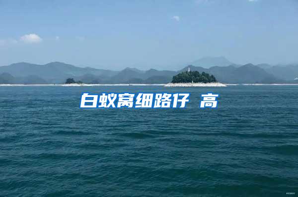 白蟻窩細(xì)路仔咁高