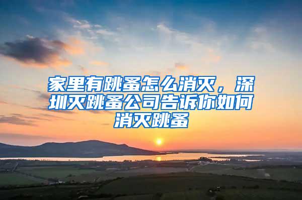 家里有跳蚤怎么消滅，深圳滅跳蚤公司告訴你如何消滅跳蚤