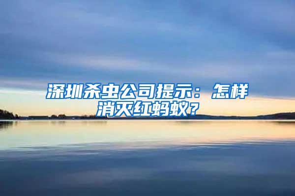 深圳殺蟲公司提示：怎樣消滅紅螞蟻？