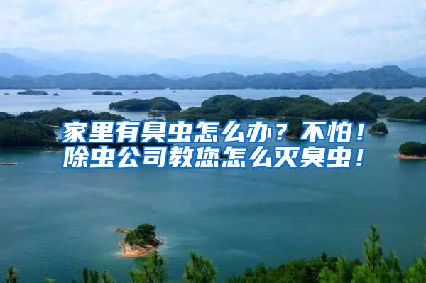 家里有臭蟲怎么辦？不怕！除蟲公司教您怎么滅臭蟲！