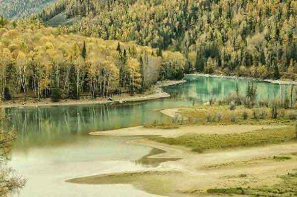 蠅類防治技術(shù)研究進展