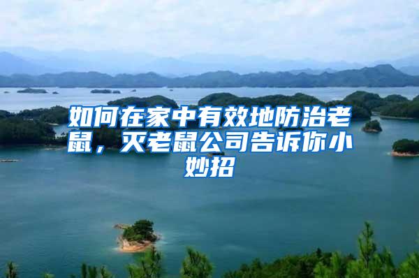 如何在家中有效地防治老鼠，滅老鼠公司告訴你小妙招