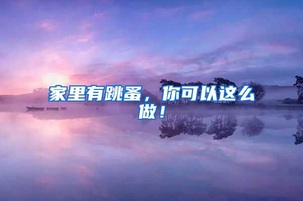 家里有跳蚤,你可以這么做!