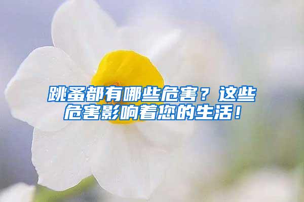 跳蚤都有哪些危害？這些危害影響著您的生活！