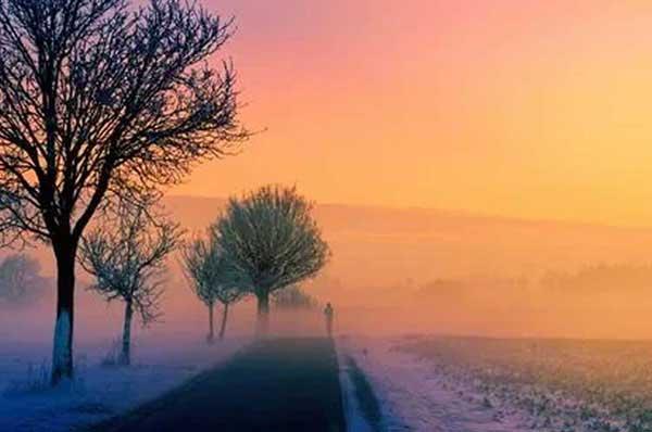 家里出現(xiàn)螞蟻不用慌,滅蟲公司來支招