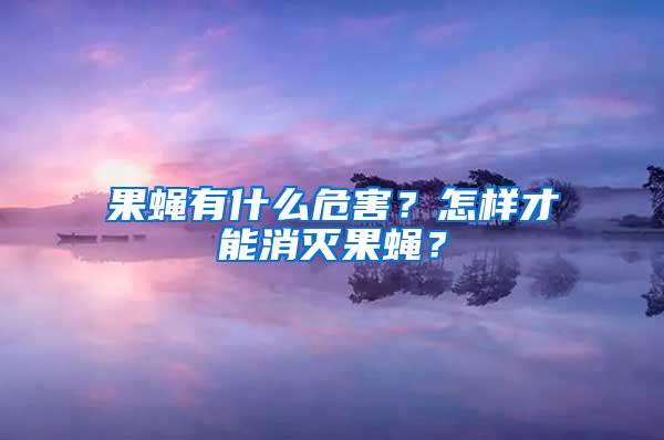 果蠅有什么危害？怎樣才能消滅果蠅？