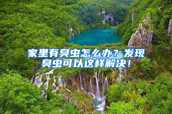 家里有臭蟲(chóng)怎么辦？發(fā)現(xiàn)臭蟲(chóng)可以這樣解決！