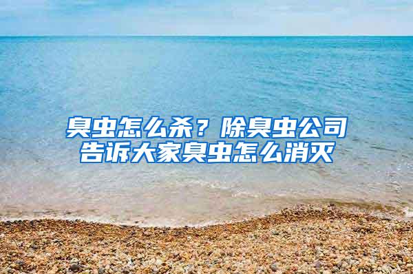臭蟲怎么殺？除臭蟲公司告訴大家臭蟲怎么消滅