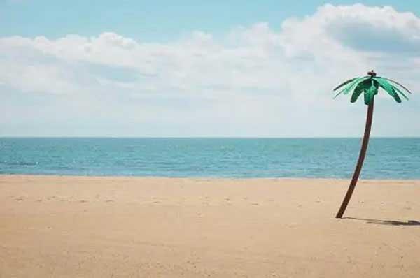 深圳滅蟲(chóng)公司--螞蟻那些事