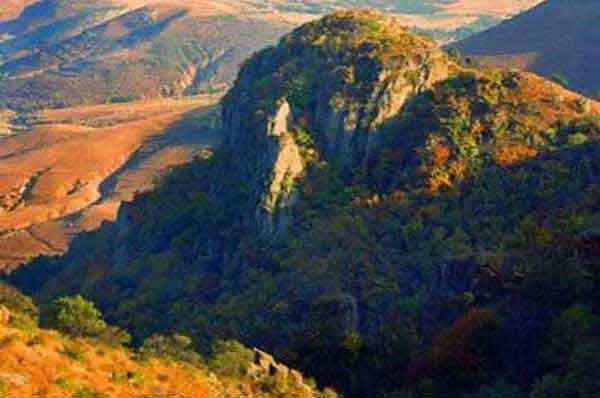 深圳殺蟲(chóng)公司專業(yè)殺臭蟲(chóng)-