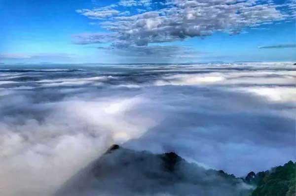 7米高罕見(jiàn)白蟻巢