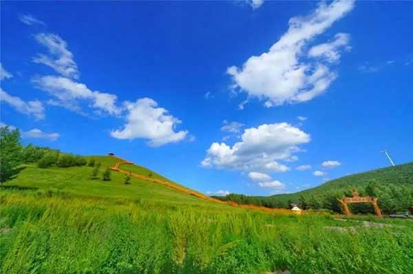 警惕抗藥性！害蟲抗藥性的產(chǎn)生及治理！