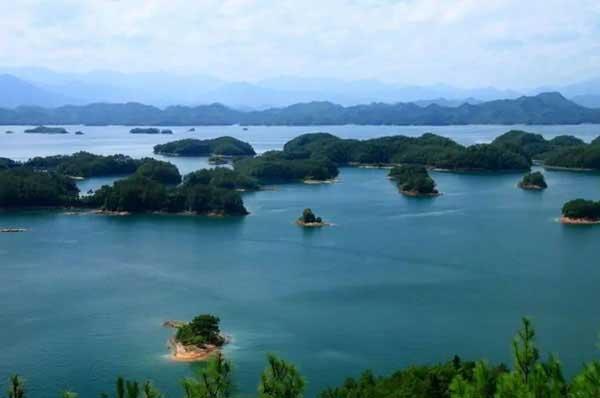 怎樣選擇殺蟲藥品？