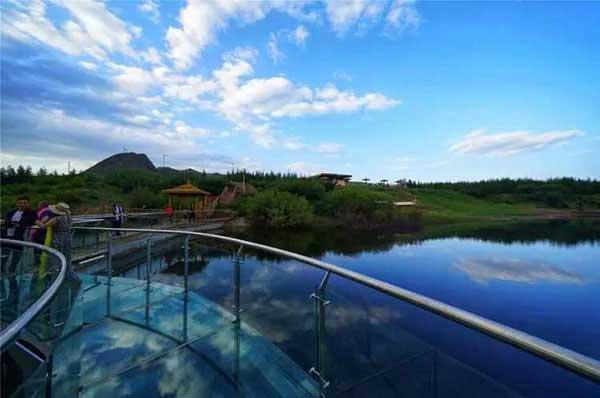 【殺蟲公司】跳蚤怎么消滅，被跳蚤咬了怎么辦？