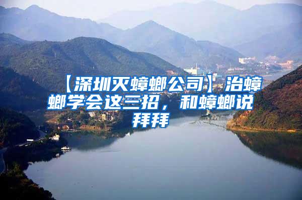 【深圳滅蟑螂公司】治蟑螂學(xué)會這三招，和蟑螂說拜拜