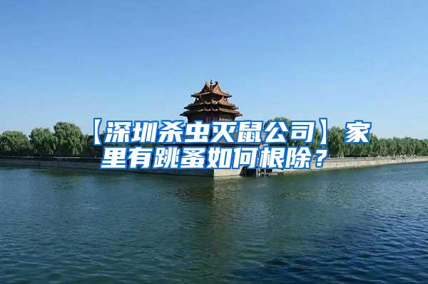 【深圳殺蟲(chóng)滅鼠公司】家里有跳蚤如何根除？