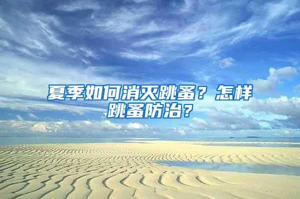 夏季如何消滅跳蚤？怎樣跳蚤防治？