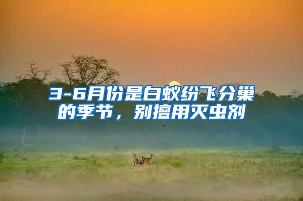 3-6月份是白蟻紛飛分巢的季節(jié)，別擅用滅蟲劑