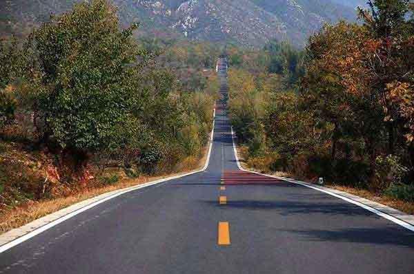 殺蟲(chóng)公司--成蚊化學(xué)防治