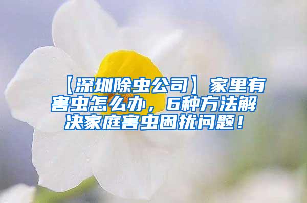 【深圳除蟲(chóng)公司】家里有害蟲(chóng)怎么辦，6種方法解決家庭害蟲(chóng)困擾問(wèn)題！