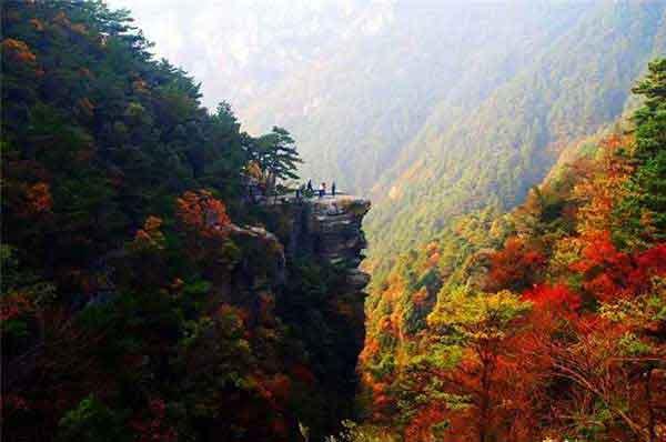 草坪上為什么要裝太陽(yáng)能滅蚊燈？