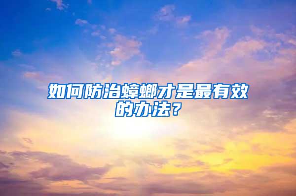 如何防治蟑螂才是最有效的辦法？