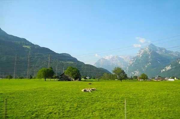 深圳殺臭蟲(chóng)專(zhuān)業(yè)殺宿舍臭蟲(chóng)