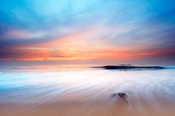 酒店如何實(shí)現(xiàn)安全和無蟲害滋擾的五星級(jí)服務(wù)環(huán)境